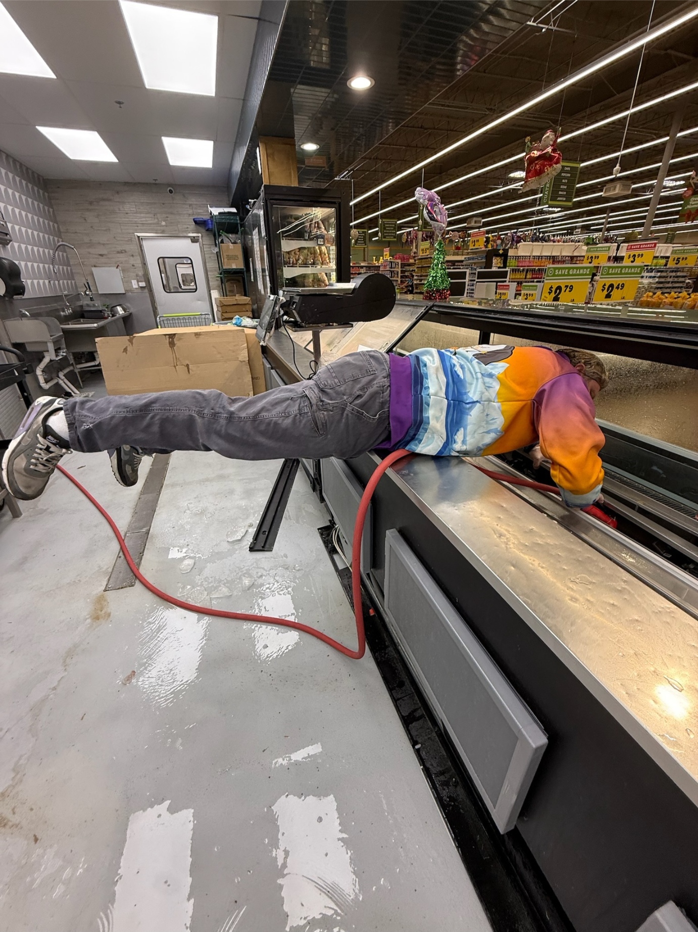 Technician accessing meat display case interior for defrost service