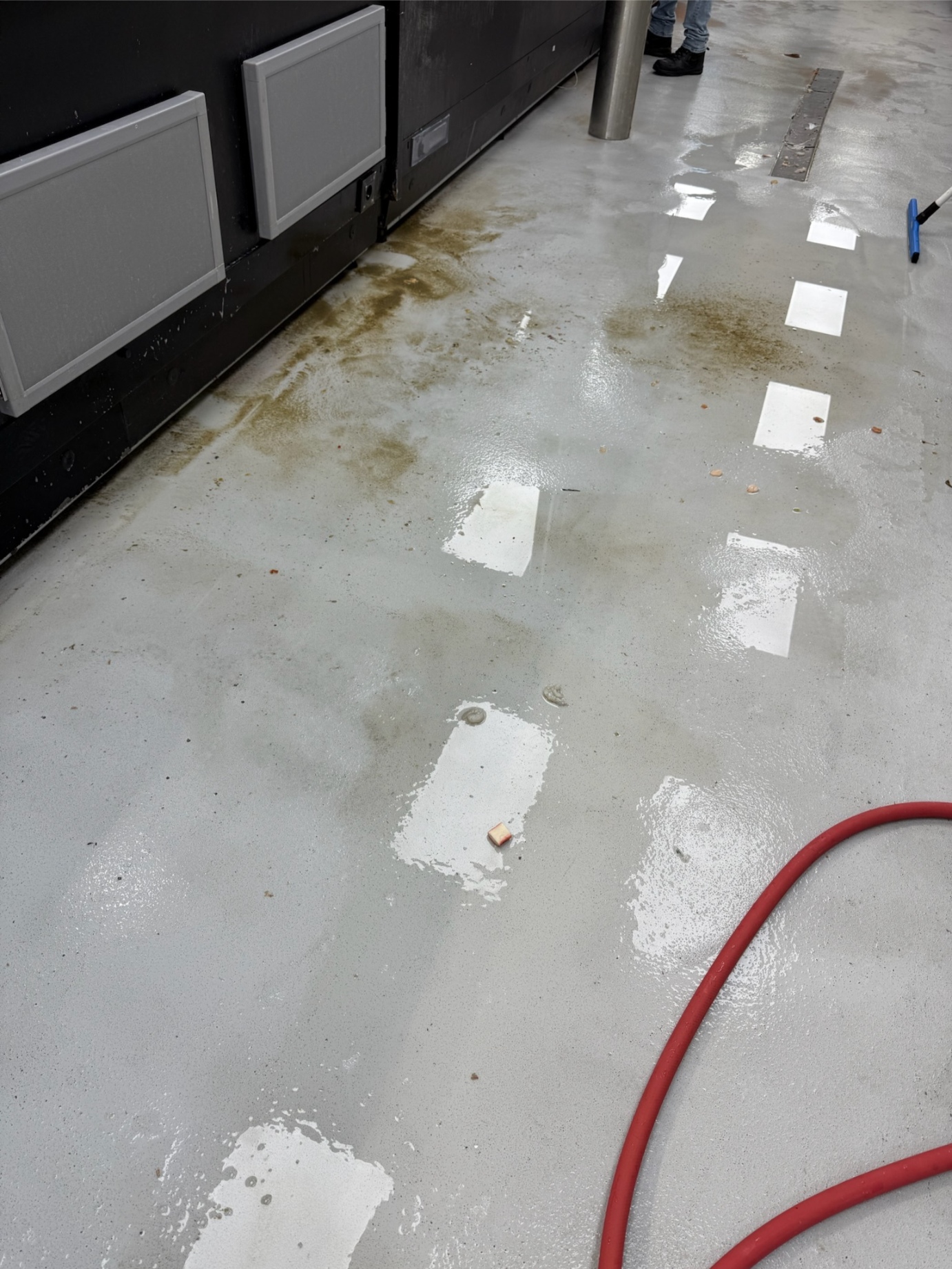 Condensate water damage on back-of-house floor — walk-in cooler drain issue